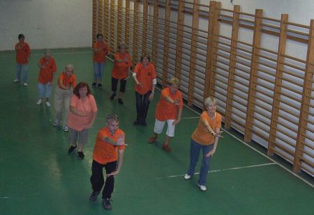 tai chi - gyakorls az edzteremben